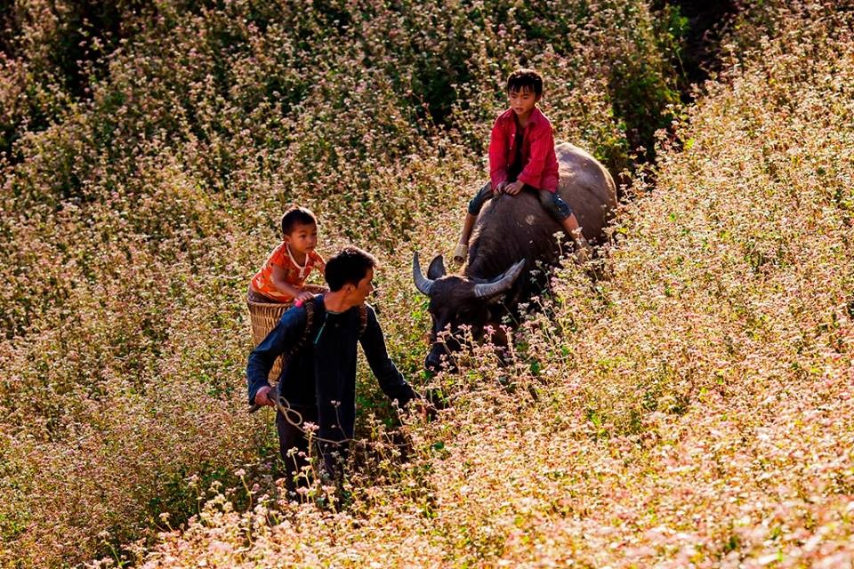 nhung khoanh khac tuyet voi cua ong bo vie t nam