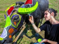 Những bức ảnh đẹp nhất về du lịch Việt Nam