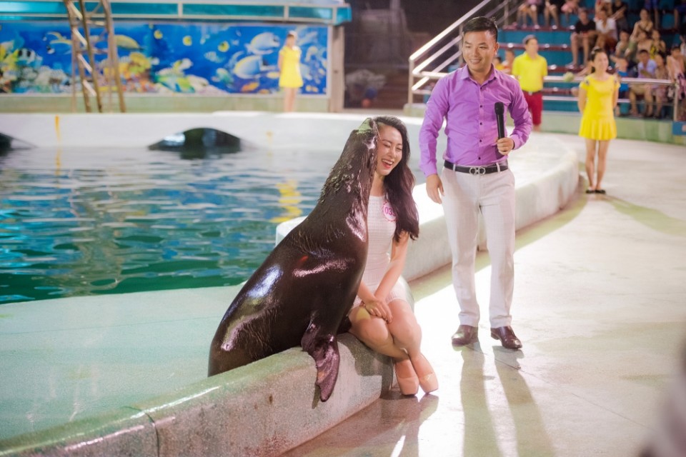 hoat dong y nghia ben le cuoc thi hoa hau viet nam