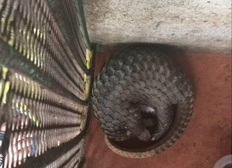 con duong dan den tuyet chung