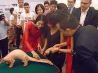 tra 54 ca the te te quy hiem ve tu nhien