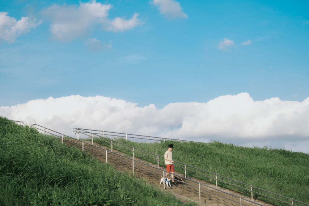 Tinh thần ‘chill’ và lan tỏa giữa mùa dịch của những người Việt trẻ