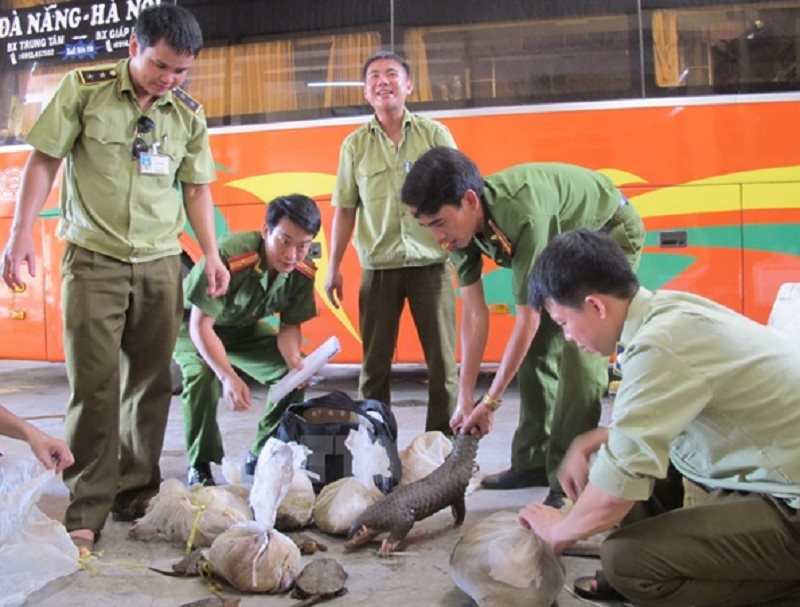 wwf hoan nghenh chi thi moi cua thu tuong chinh phu nham that chat nan buon ban dong vat hoang da