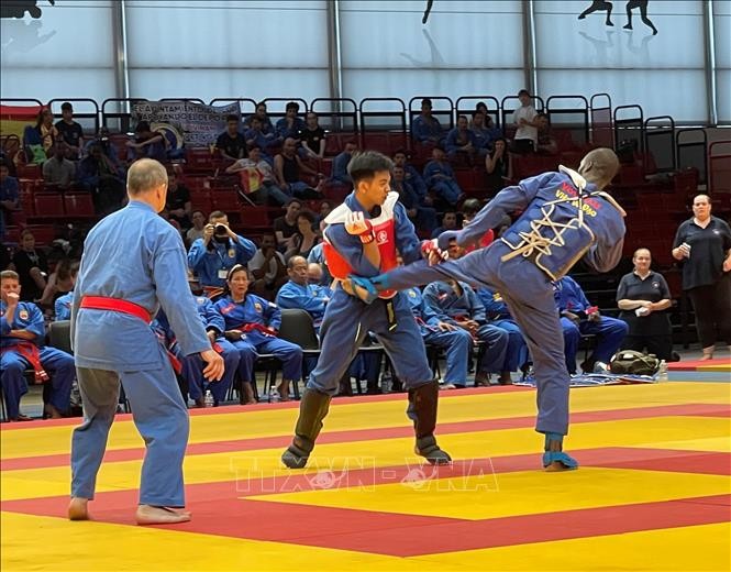 Tổ chức thành công Giải vô địch thế giới Vovinam--Việt Võ Đạo lần thứ 6 tại Pháp