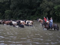 xu ly ngay vuong mac tao moi thuan loi cho phat trien du lich