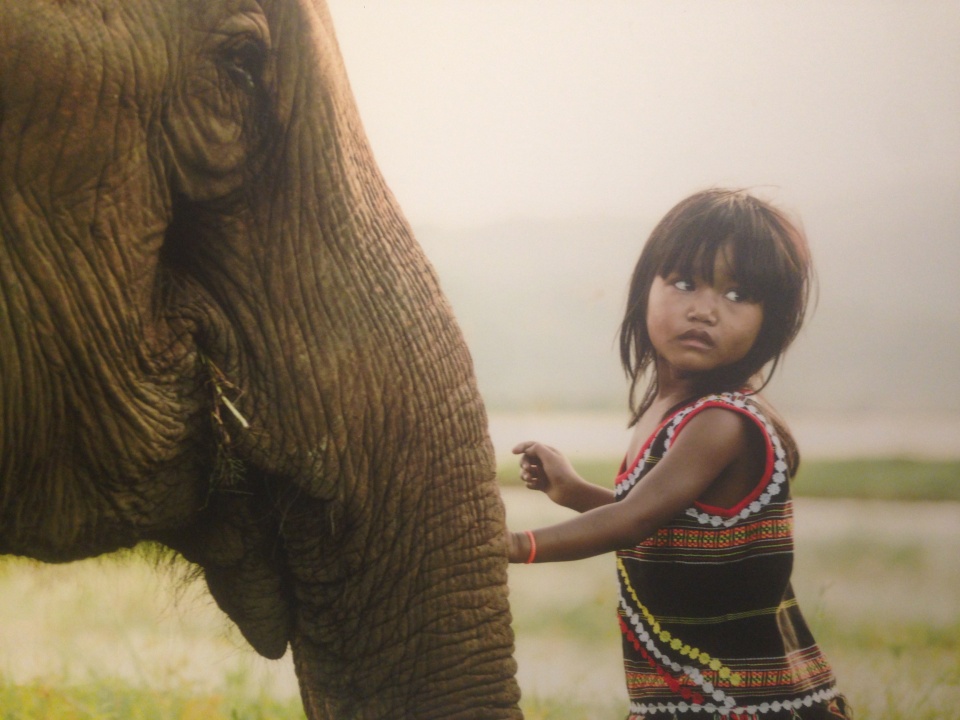 ngam di san vo gia cua nhiep anh gia rehahn