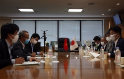 Nhật Bản đề xuất thiết lập đường dây nóng để bảo vệ và hỗ trợ các thực tập sinh Việt Nam