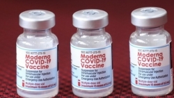 Việt kiều Mỹ mong muốn tặng 50.000 lọ vaccine Moderna cho TP. Hồ Chí Minh