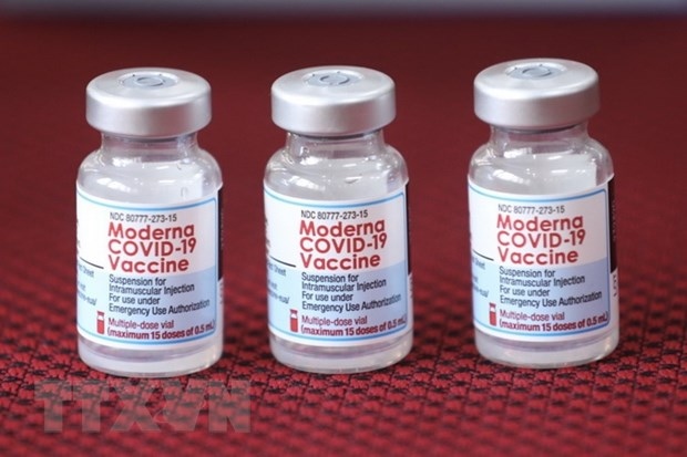Việt kiều Mỹ mong muốn tặng 50.000 lọ vaccine Moderna cho TP. Hồ Chí Minh