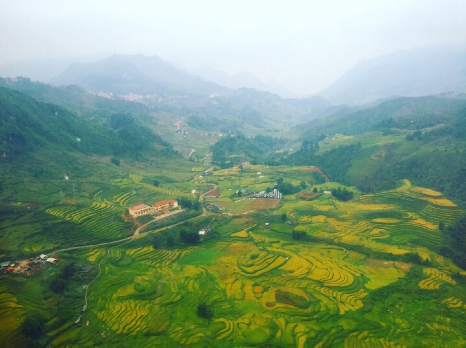 hoa hau viet nam quang ba du lich sapa