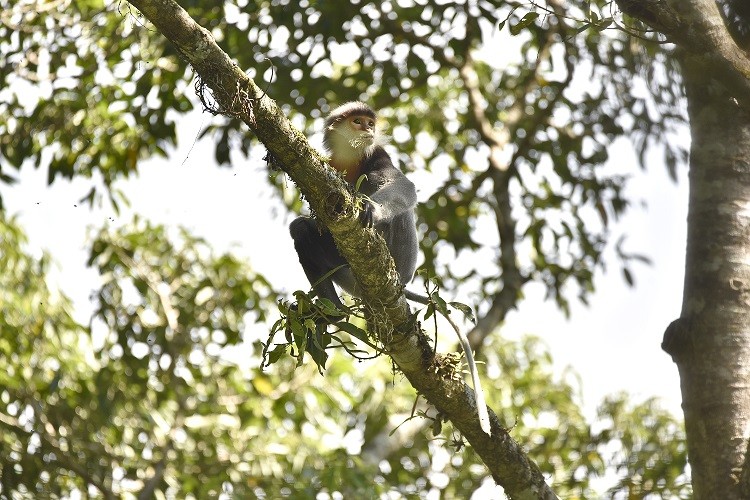 Đại sứ Việt Nam bên cạnh UNESCO: Việc công nhận khu dự trữ sinh quyển thế giới không đơn thuần chỉ là danh hiệu