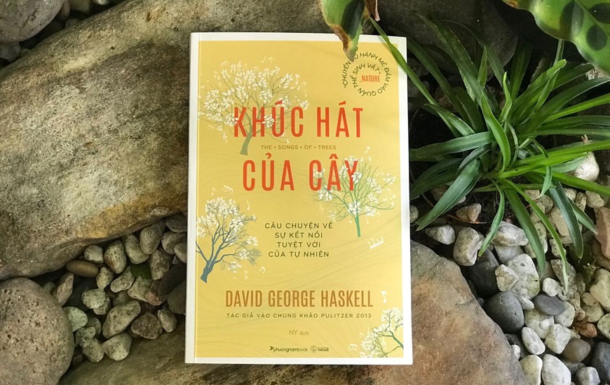 Những cuốn sách chuyển tải năng lượng tích cực Những cuốn sách truyền tải năng lượng tích cực