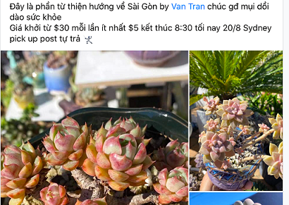 Người Việt tại Australia gửi yêu thương về tâm dịch TP. Hồ Chí Minh