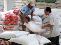 Cẩn trọng xuất khẩu gạo Việt sang Mỹ