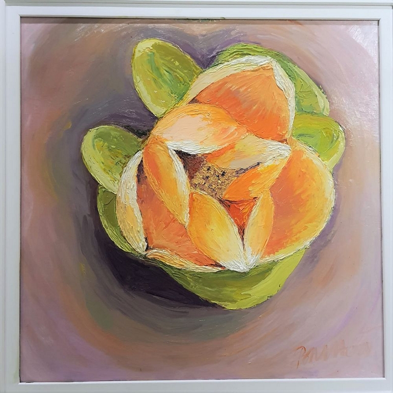 quoc hoa cac nuoc asean cung khoe sac cung hoa ha noi