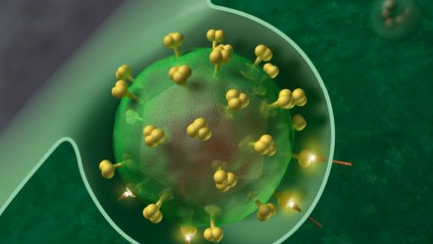 EU bật đèn xanh cho liệu pháp điều trị HIV mới