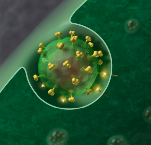 EU bật đèn xanh cho liệu pháp điều trị HIV mới EU bật đèn xanh cho liệu pháp điều trị HIV mới