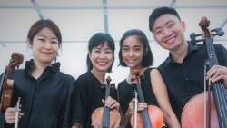 Thưởng thức hòa nhạc đàn dây miễn phí tại Hà Nội