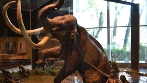 mexico gay an tuong voi viec xay dung bao tang voi ma mut trong san bay quoc te