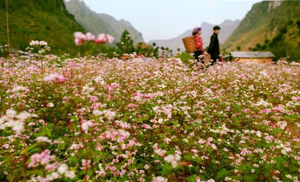 Ngày hội tôn vinh những giá trị văn hóa truyền thống ngay hoi ton vinh nhung gia tri van hoa truyen thong
