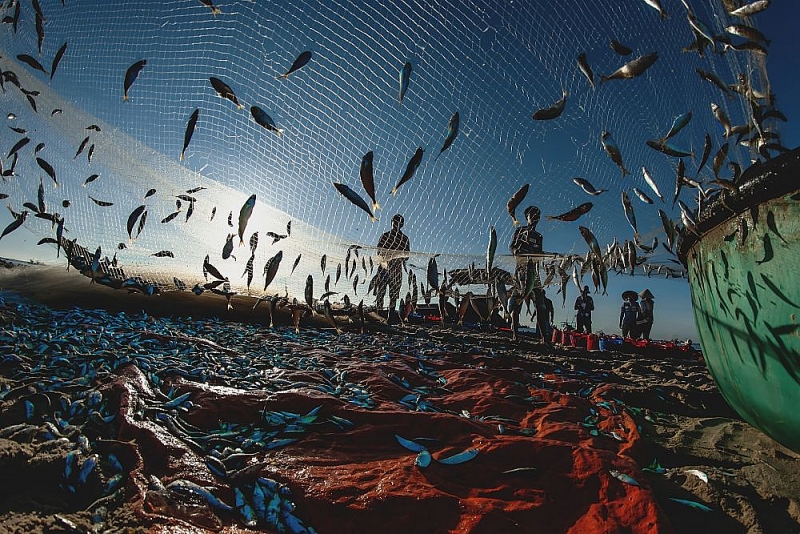 'Mãn nhãn' với bộ ảnh tuyệt đẹp về sự đa dạng văn hóa của Việt Nam