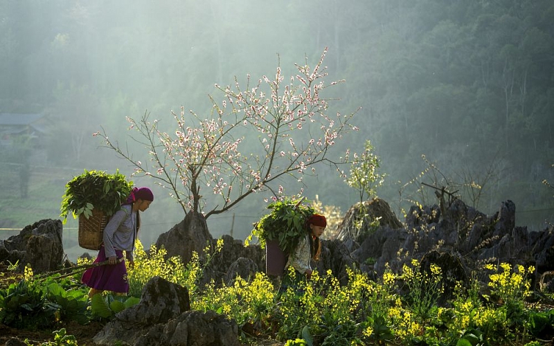 'Mãn nhãn' với bộ ảnh tuyệt đẹp về sự đa dạng văn hóa của Việt Nam