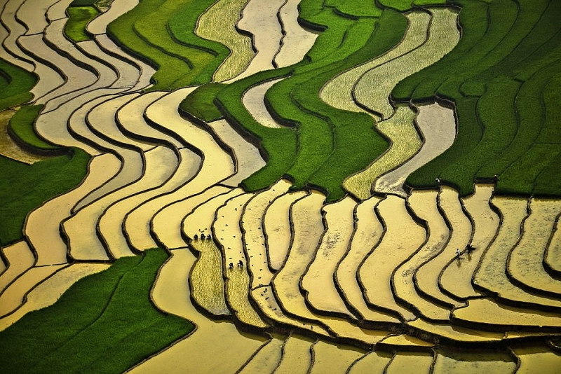 'Mãn nhãn' với bộ ảnh tuyệt đẹp về sự đa dạng văn hóa của Việt Nam