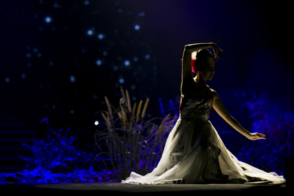 live concert cua nghe si violin doc lap dau tien tai viet nam