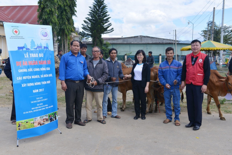 “Ngân hàng Bò” cho nông dân nghèo tỉnh Lâm Đồng ngan hang bo cho nong dan ngheo tinh lam dong