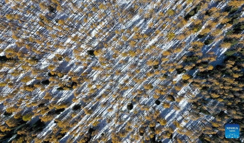 Khung cảnh mùa thu 'vắt ngang qua' Trung Quốc