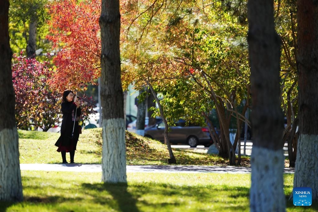 Khung cảnh mùa thu 'vắt ngang qua' Trung Quốc