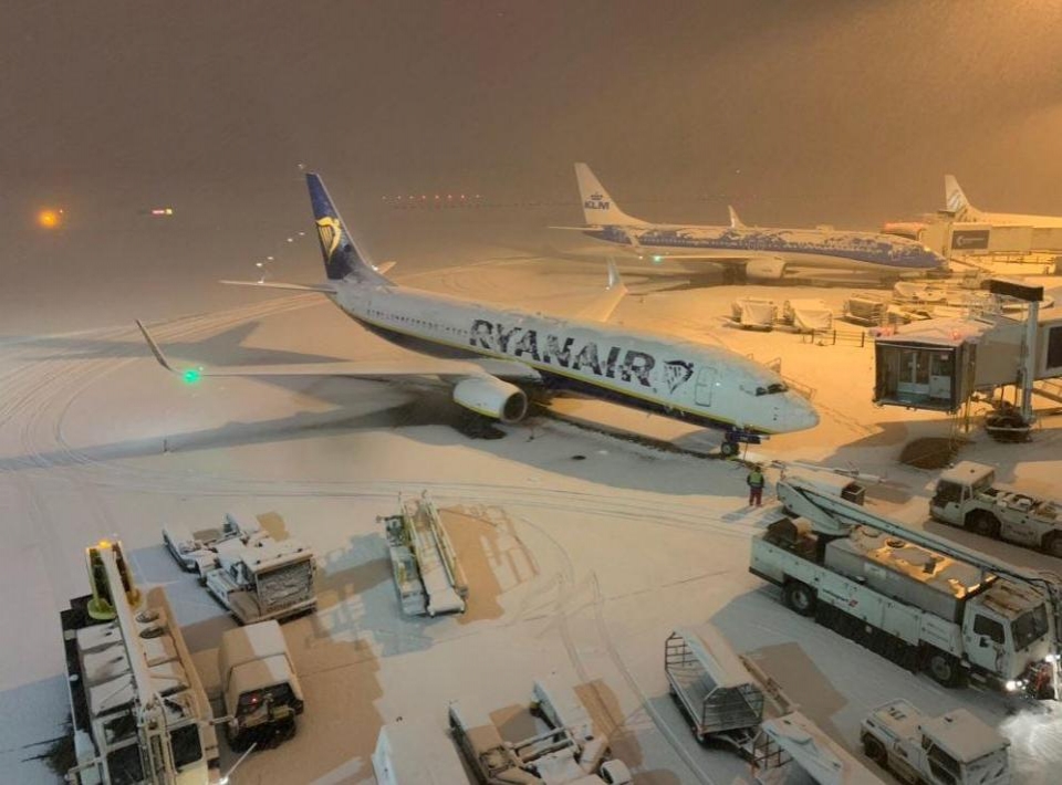 nuoc anh chim trong gia ret