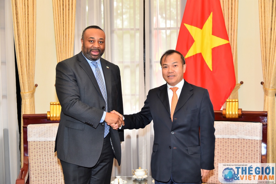 dua quan he viet nam guinea xich dao thanh dien hinh hop tac nam nam