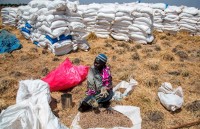 chau phi voi thach thuc bao dam an ninh luong thuc