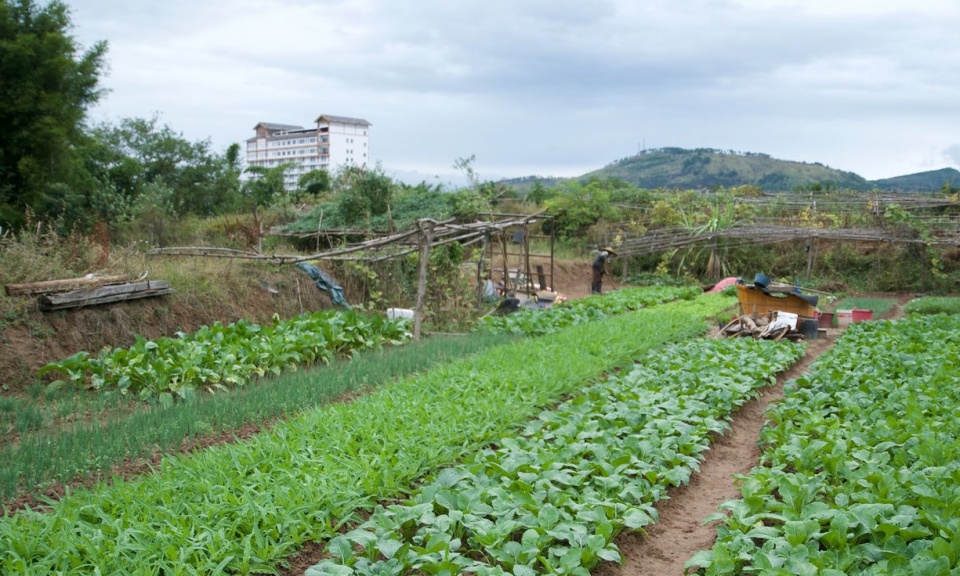 o nhiem moi truong de doa thanh pho dep nhat trung quoc