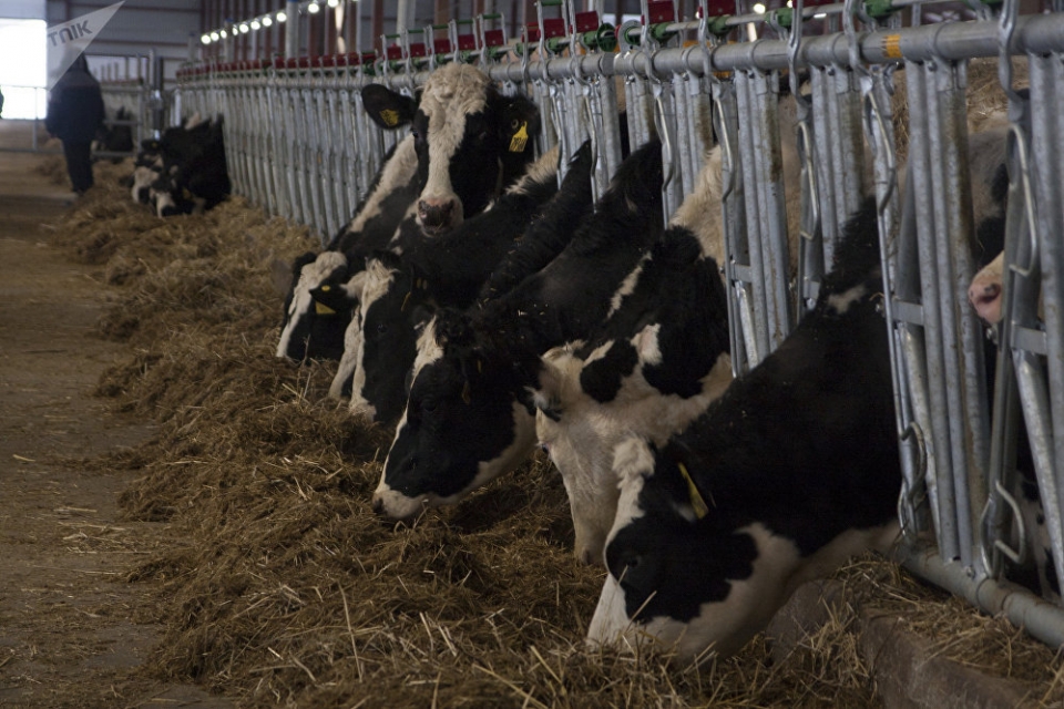 diem sang trong hop tac dau tu giua viet nam lien bang nga