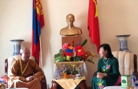 tham khao chinh tri cap thu truong ngoai giao viet nam mong co lan thu 8