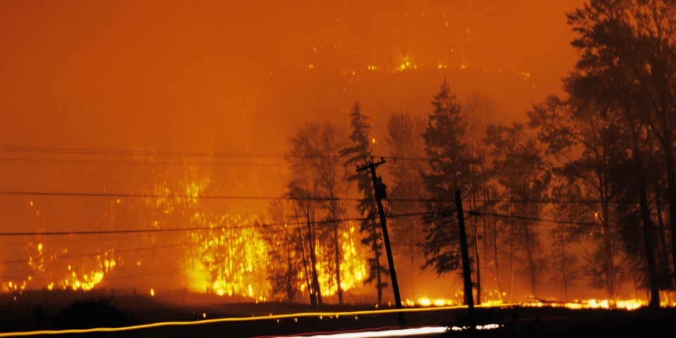 canada ban bo tinh trang khan cap do chay rung