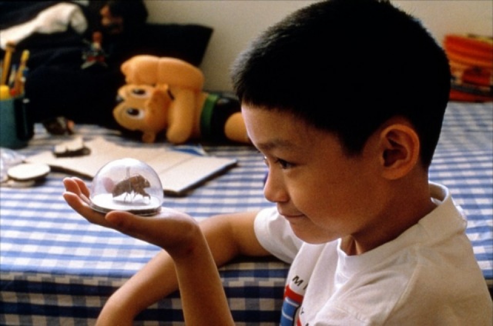 phim chau a gop mat trong top 10 phim hay nhat the ki 21