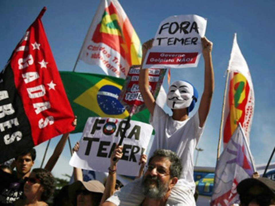 brazil chim sau trong khung hoang