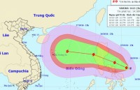 tin nhap 20161018082654