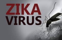virus zika anh huong toi kha nang sinh san cua nam gioi