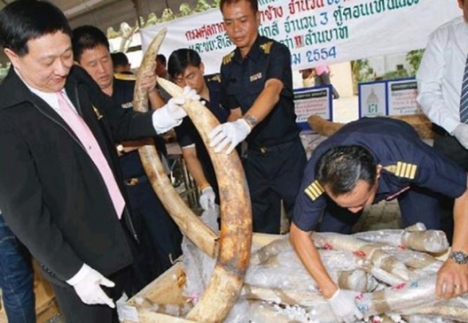 toi pham moi truong van nan thu tu cua hanh tinh