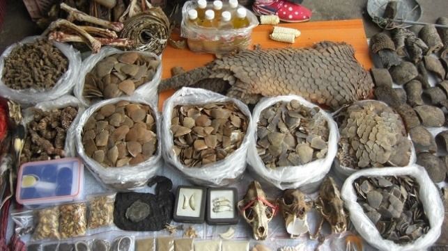 tin tuc asean buoi sang 93