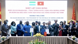 Thúc đẩy hợp tác nông nghiệp Việt Nam-Sierra Leone