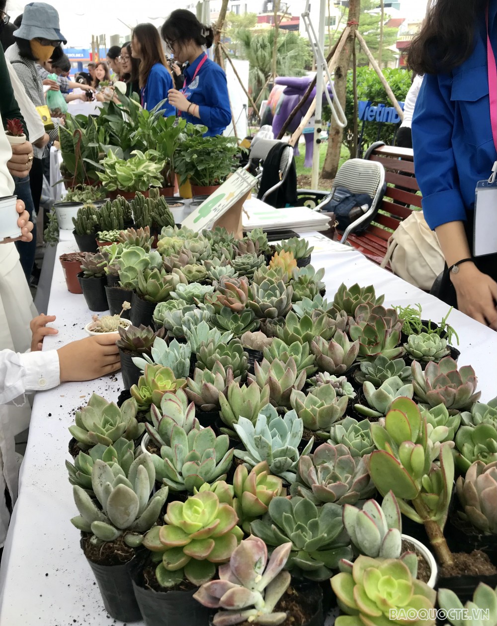 Đại sứ quán Israel tại Việt Nam hưởng ứng Ngày Trái đất Đại sứ quán Israel tại Việt Nam hưởng ứng Ngày Trái đất