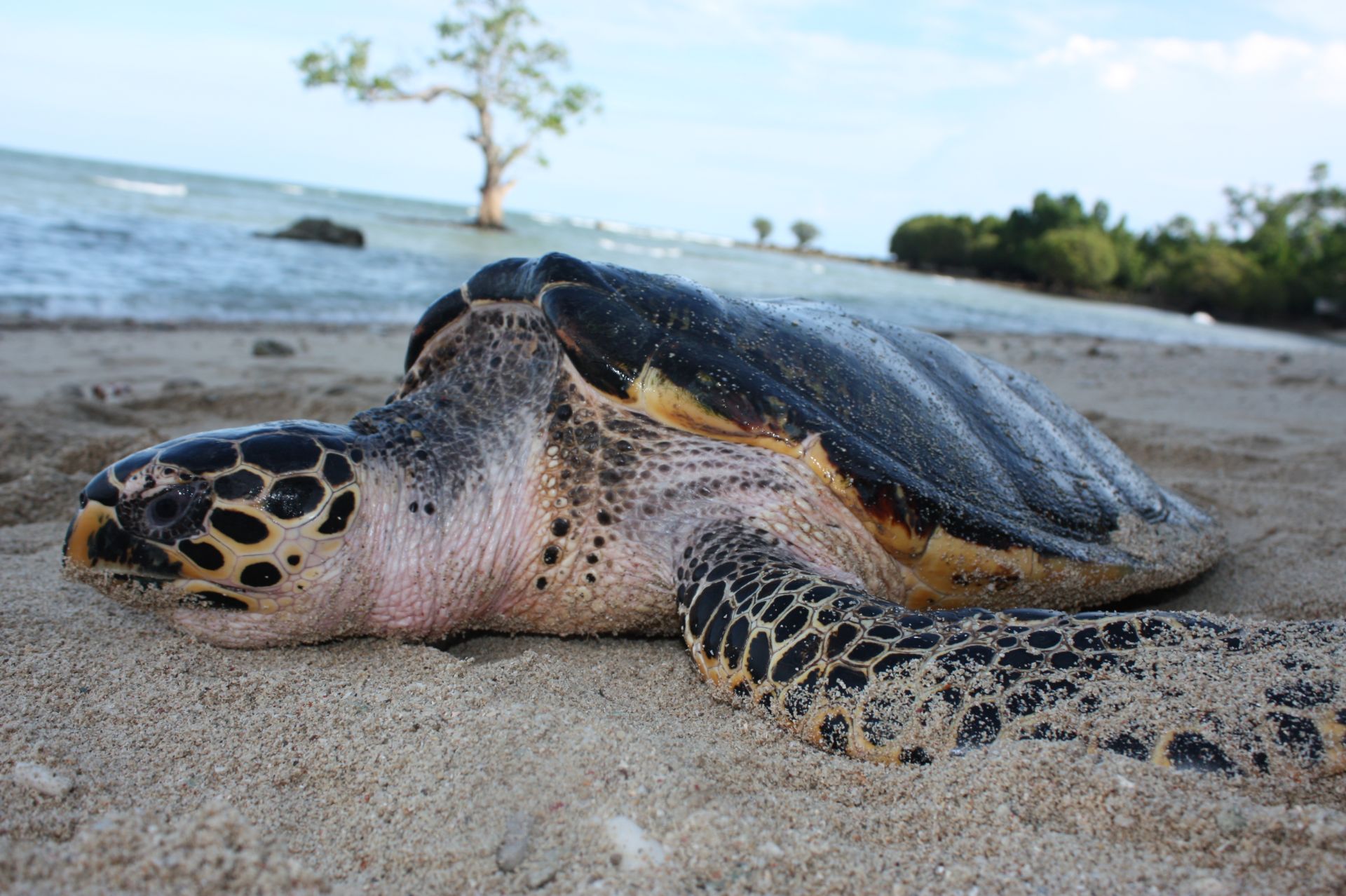 tin tuc asean buoi sang 225