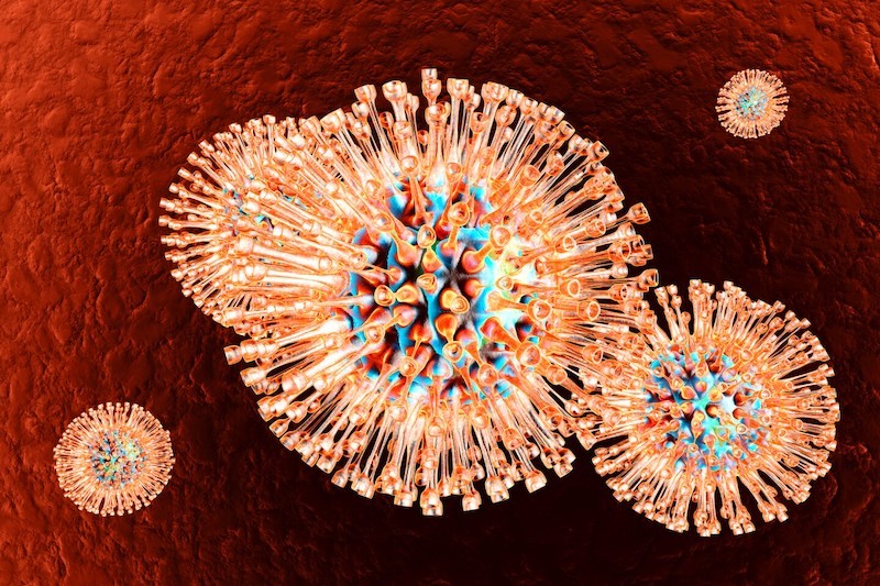 Virus Herpes là một trong những nguyên nhân dẫn đến bệnh tiền tiểu đường. (Nguồn: New Atlas)