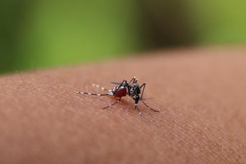 3137 shutterstock 1285534390