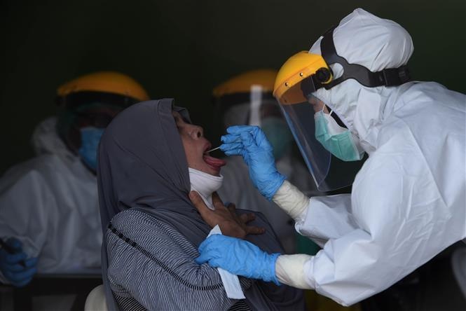 1209 vna potal covid 19 so ca nhiem o indonesia len hon 50000 nguoi 4819944